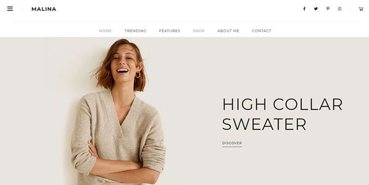 Das beste Amazon-Affiliate-WordPress-Theme? Guck dir diese an