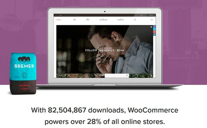 As melhores opções de plug-in de pagamento do WordPress para usar