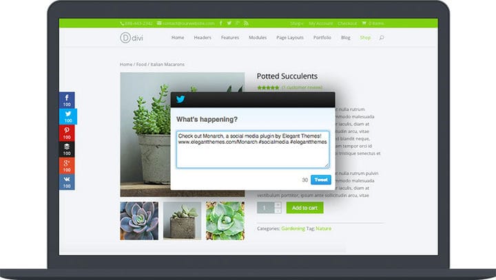 Las mejores opciones de complementos de Pinterest para WordPress