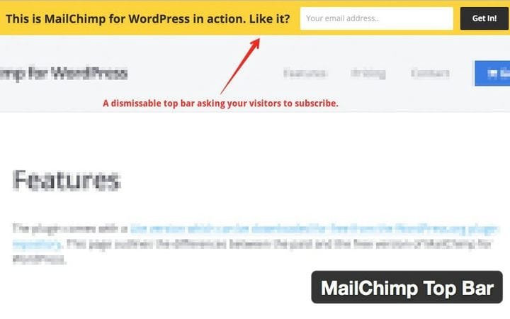 Mailchimp para Wordpress: Como usar o Mailchimp e plugins para instalar