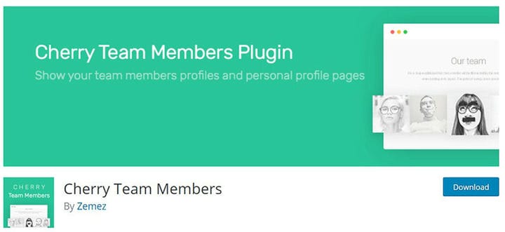 Esimerkkejä WordPress-tiimin liitännäisistä jäsentesi esittelyyn