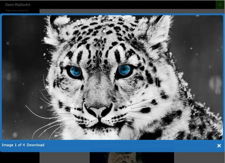 Plugin lightbox di WordPress che dovresti conoscere
